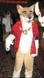 Dingo-Yo.jpg