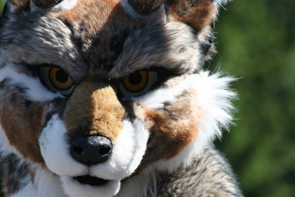 Are you my prey?
