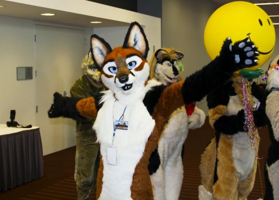 Foxfur
Foxfur
Keywords: Foxfur fox red