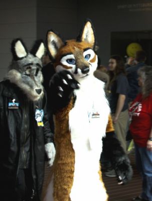 Foxfur
Foxfur
Keywords: Foxfur fox red
