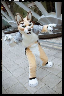 Jingo (Jackel + Dingo)
Jingo (Jackel + Dingo)
Keywords: Jingo Jackel Dingo gaza