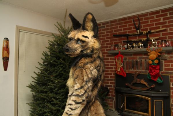 Vignette
Vignette
Keywords: Vignette Hyena