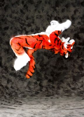 Ticer
Ticer
Keywords: Ticer tiger