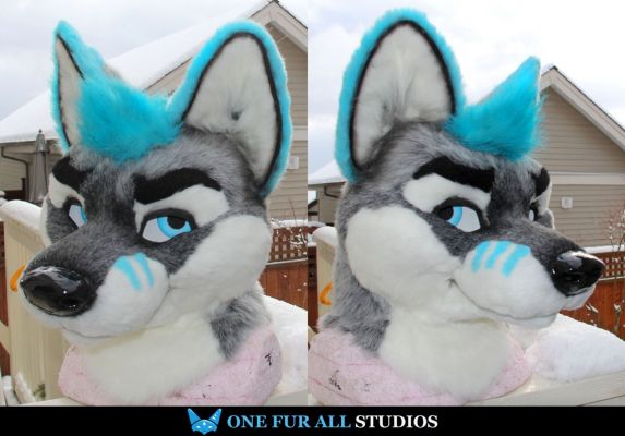 Frost Wolf
Frost Wolf
Keywords: Frost Wolf fox hybrid folf