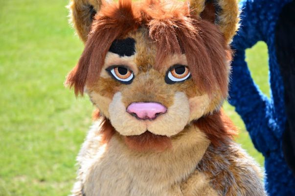 Reeve
Reeve
Keywords: Reeve lion