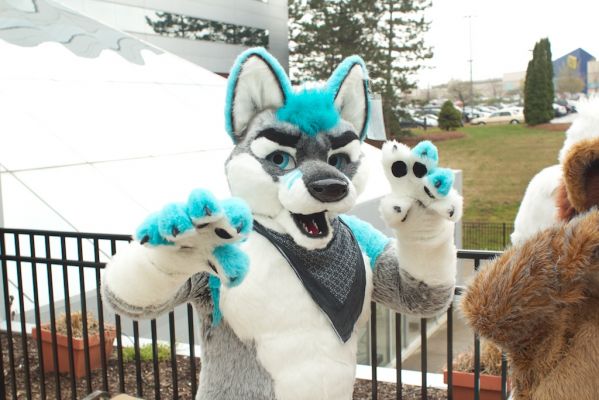 Frost Wolf
Frost Wolf
Keywords: Frost Wolf fox hybrid folf