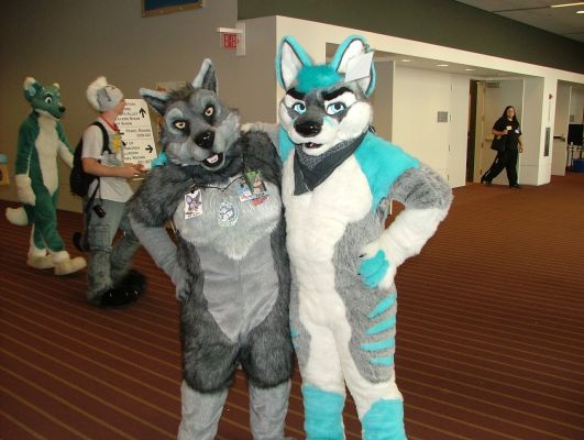 Frost Wolf
Frost Wolf
Keywords: Frost Wolf fox hybrid folf