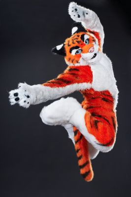 Ticer
Ticer
Keywords: Ticer tiger