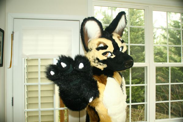 Dionyz
Dionyz
Keywords: Dionyz african wild dog