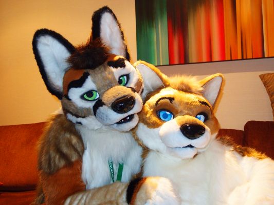 Soboku
Soboku
Keywords: Soboku shiba inu