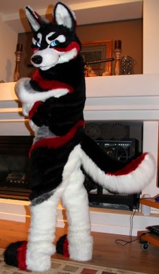 Hamatu
Hamatu
Keywords: Wusky Wolf husky hamatu kokoes