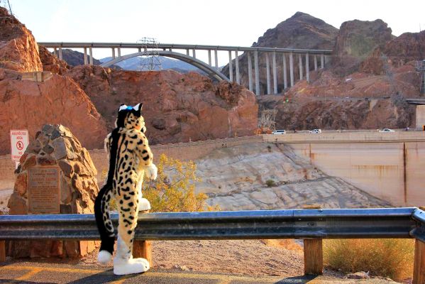 Nuathu
Nuathu
Keywords: Nuathu king cheetah