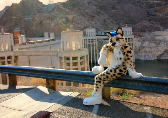 Nuathu
Nuathu
Keywords: Nuathu king cheetah