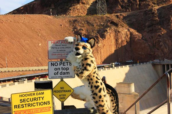 Nuathu
Nuathu
Keywords: Nuathu king cheetah