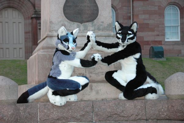 Savoy
Savoy
Keywords: Savoy silver fox wolf hybrid folf
