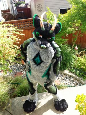 ACH TE’KHAN
ACH TE’KHAN
Keywords: ACH TE’KHAN dragon wolf draolf