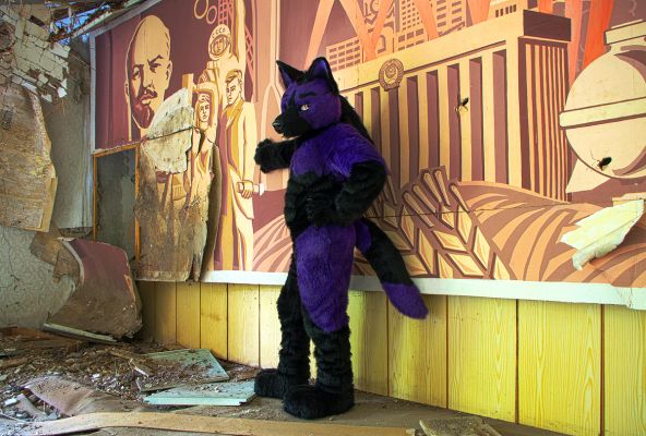 Kajoken
Kajoken
Keywords: Kajoken fox wolf folf