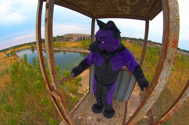 Kajoken
Kajoken
Keywords: Kajoken fox wolf folf