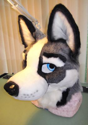 Rye Husky

