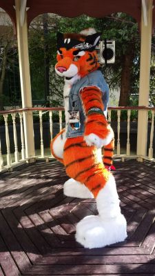 Tigs
