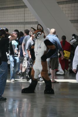 Foxfur
Foxfur
Keywords: Foxfur fox red