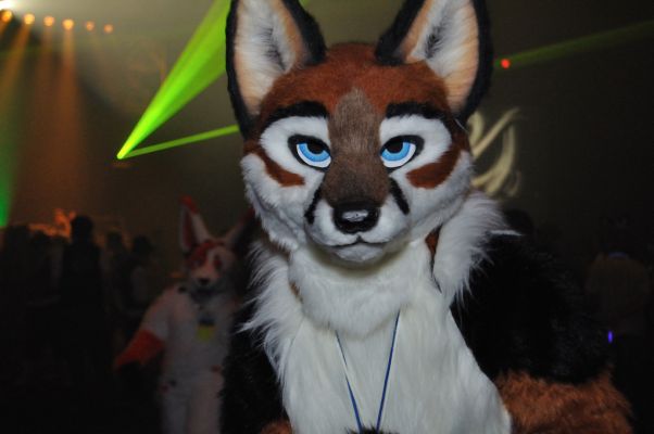 Foxfur
This suit feels particularly aware.
Keywords: Foxfur fox red