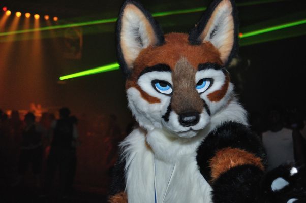 Foxfur
Foxfur
Keywords: Foxfur fox red