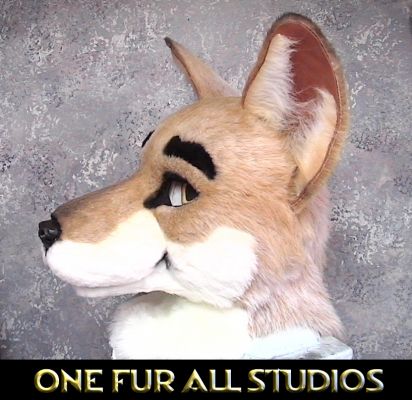 DINGO-HEAD1.jpg