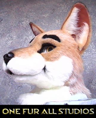 DINGO-HEAD4.jpg