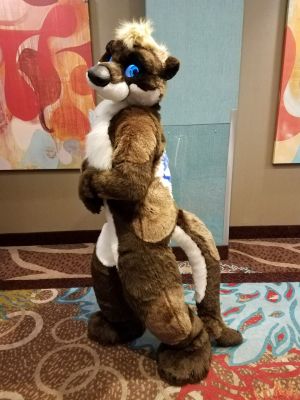 Keywords: keyy, otter