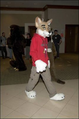 Dingo-Lobby.jpg