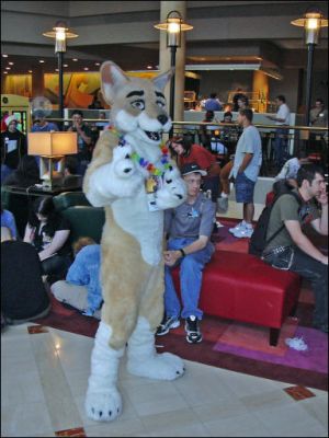 Dingo-Point.jpg