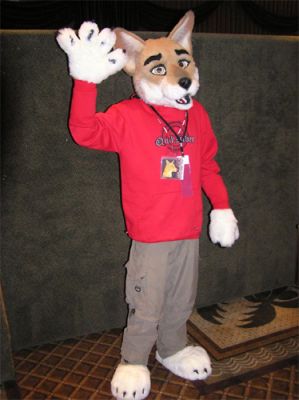 Dingo-Wave.jpg