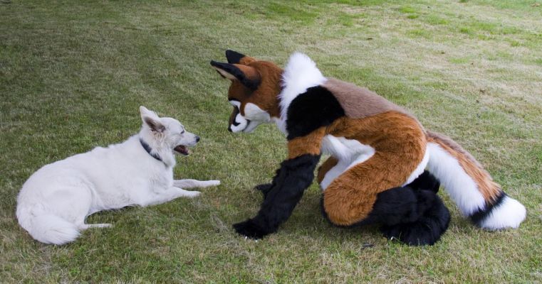 Foxfur
Foxfur
Keywords: Foxfur fox red