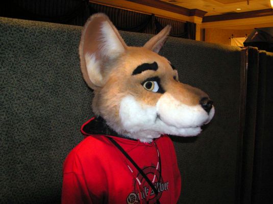 Frysco_105.jpg