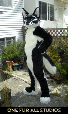 Hydrox
Hydrox
Keywords: Hydrox fox wolf hybrid folf Nachtfuchs