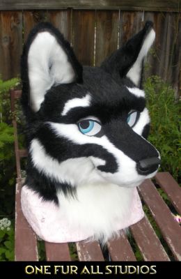 Hydrox
Hydrox
Keywords: Hydrox fox wolf hybrid folf Nachtfuchs