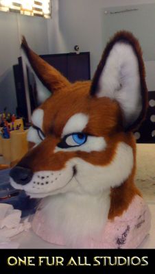 Juno-folf-headpic2.jpg