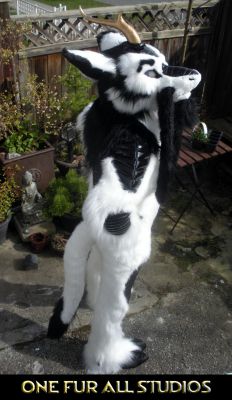Kirin-Fullsuit9.jpg