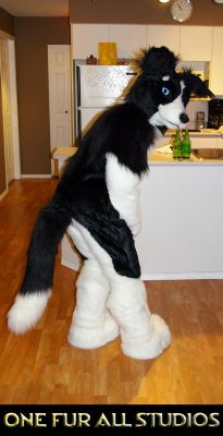 Masa-fullsuit5.jpg