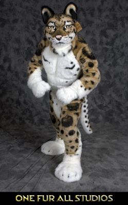 Nimbus-full2.jpg