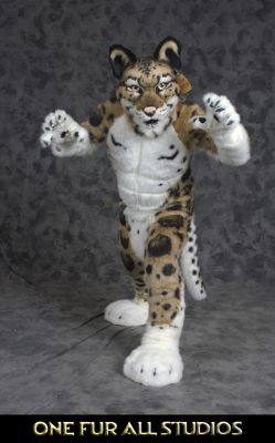Nimbus-full3.jpg