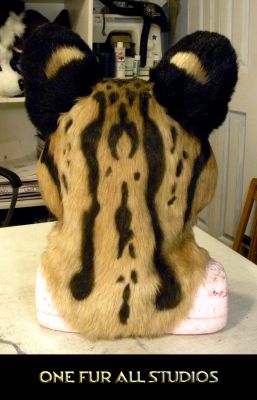 Nimbus-head5.jpg