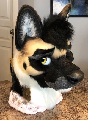 Nitro
Keywords: nitro, german shepard, nitroshep