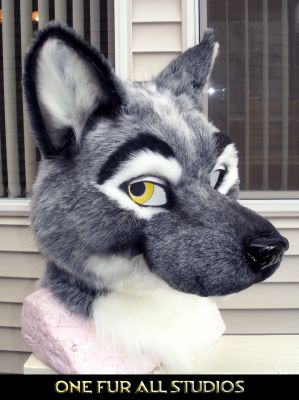November
November
Keywords: November wolf