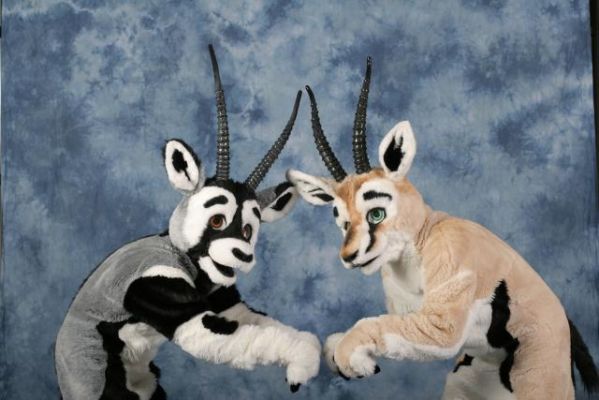 Oryx-Ferian-8.jpg