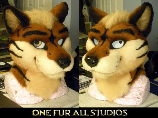 Comparison shot - two very different eyes.
