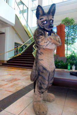 Vignette
Vignette
Keywords: Vignette Hyena