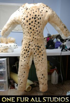 bodysuit_3.jpg