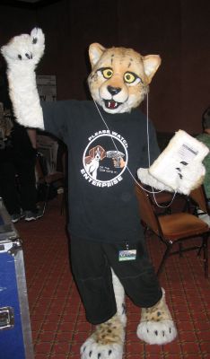 cheetah1.jpg